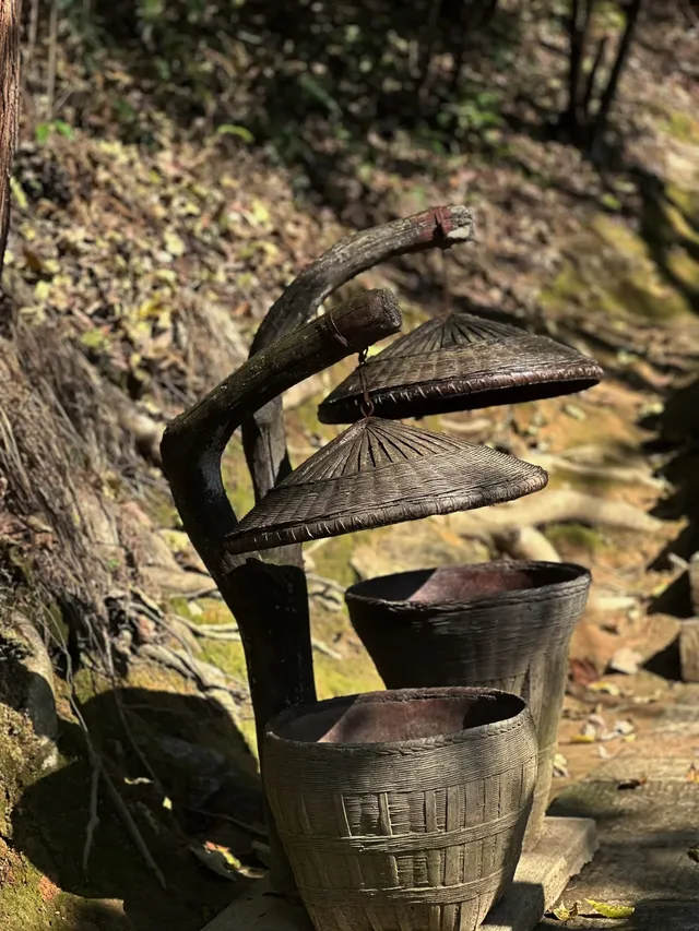 張家界徒步走斷腿系列11.13 張家界徒步走斷腿系列11.13