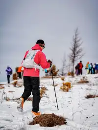 樺皮嶺｜雪中徒步封神路線，小白也能來