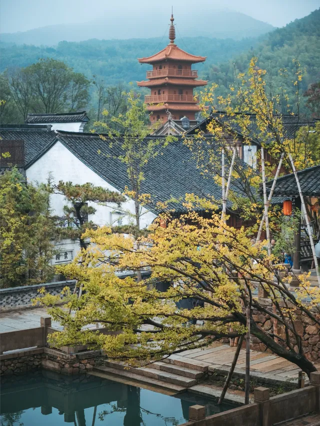 陰天闖進宜興｜這鬆弛感我能癱一天
