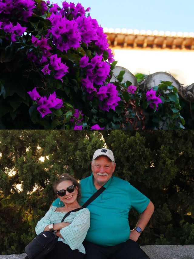 格拉納達的秘境:阿爾罕布拉宮的水與光 格拉納達的秘境:阿爾罕布拉宮的水與光