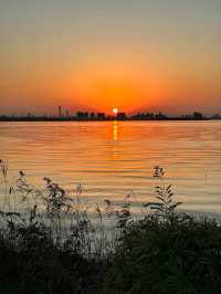 陽澄湖楓葉真的美到窒息超詳細攻略來啦 深秋的蘇州 簡直是人間天堂 除了人山人海的天