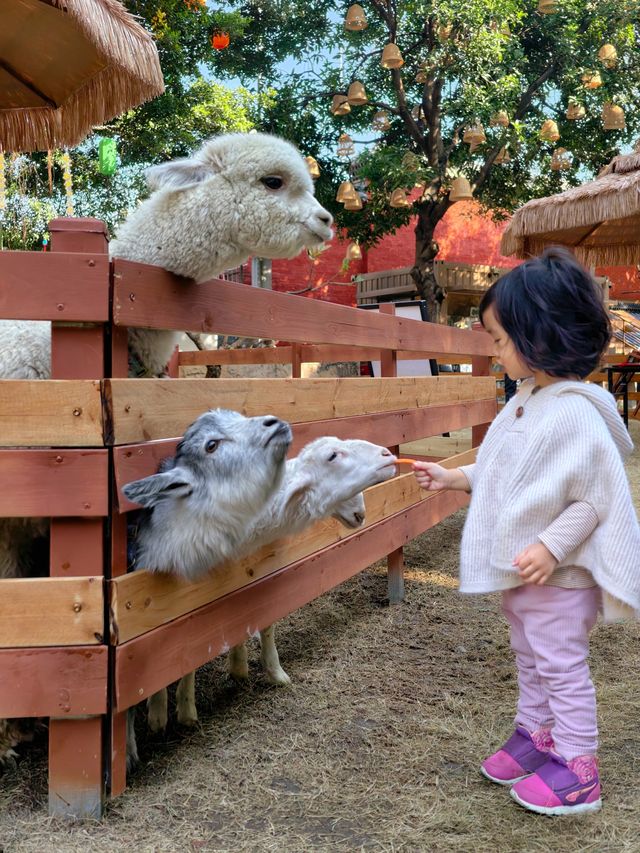 佛山祖廟附近新開的！！遛娃好去處！！
