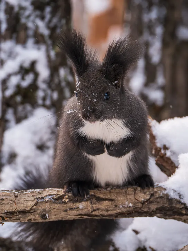 再吃，再吃就把你拍下來，放到網上去！