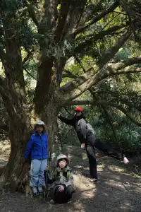 紹興柯橋雪竇嶺親子徒步