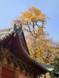 我宣佈,這是我河南最中意的小木頭房子