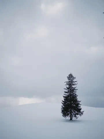 北海道穿搭南方人雪地保命指南