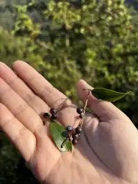 神仙谷隱藏玩法大公開！極限蹦極+深山尋寶