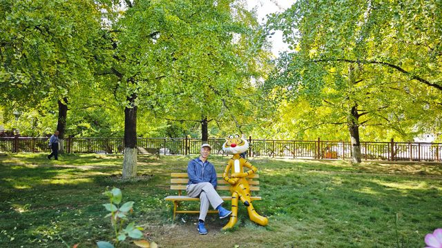 當銀杏樹與老房子同框時,我恍惚瞬間代入到那峥嵘歲月的日子 當銀杏樹與老房子同框時,我恍惚瞬間代入到那峥嵘歲月的日子