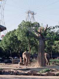 上海野生動物園全攻略：輕鬆遛娃不踩雷