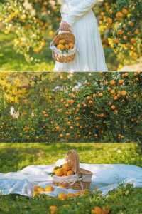 週末遛娃必去橘子園