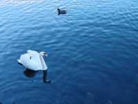 絕美仙境哈爾施塔特的冬日童話世界