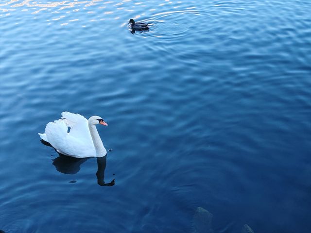 絕美仙境哈爾施塔特的冬日童話世界 絕美仙境哈爾施塔特的冬日童話世界