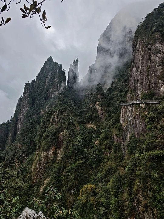 莽山仙境遊 莽山仙境遊