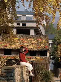 永嘉銀杏王超出片機位!!!