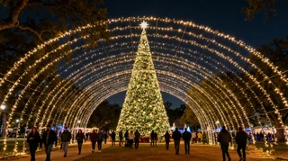 Winter in beautiful Texas｜Christmas, slow living, trust me (photo not mine) 