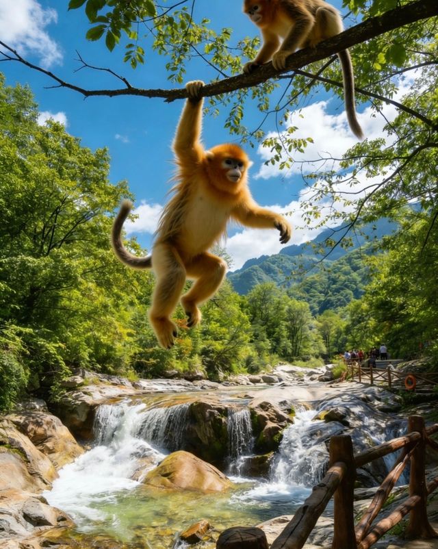 佛坪保姆級攻略帶你遊玩絕美景點 佛坪保姆級攻略帶你遊玩絕美景點