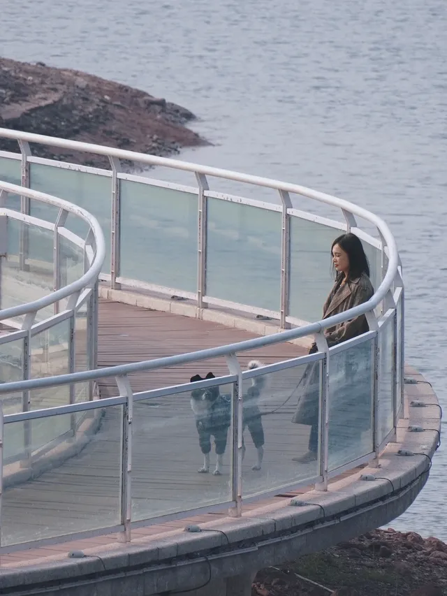 小狗和小馬一起低頭可愛鼠了！