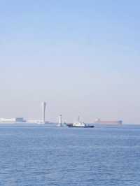 冬季濱海國家森林公園藏在山海間的冬日童話