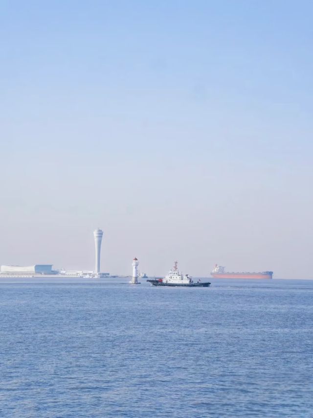 冬季濱海國家森林公園藏在山海間的冬日童話