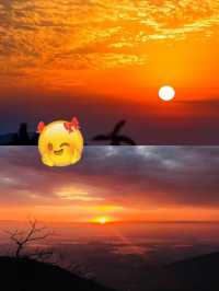 廬山杉與山青民宿｜住進雲端的森系治癒屋