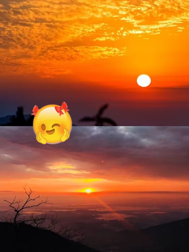 廬山杉與山青民宿｜住進雲端的森系治癒屋