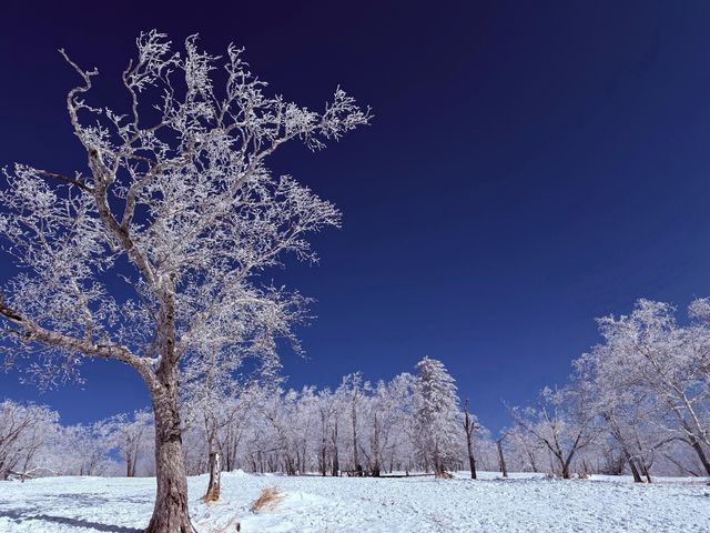 滿分推薦！郭師傅帶我們圓滿玩盡東北四地，幸福感爆棚！
今次由上海出發，抵達長白山後展開嘅