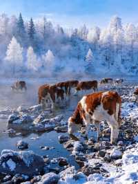 不是北歐是只有0.1%去過的冷門邊境小城