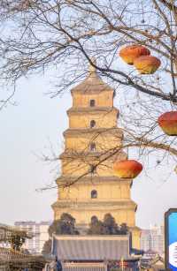 【住美豪，尋冬趣｜遇見香火與暖陽交織的古都冬天】