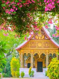 琅勃拉邦探秘慢生活