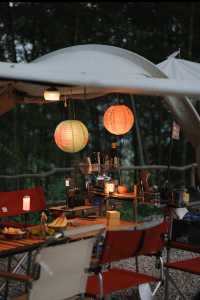 新手露營指南|林深見霧時,在畫中眠