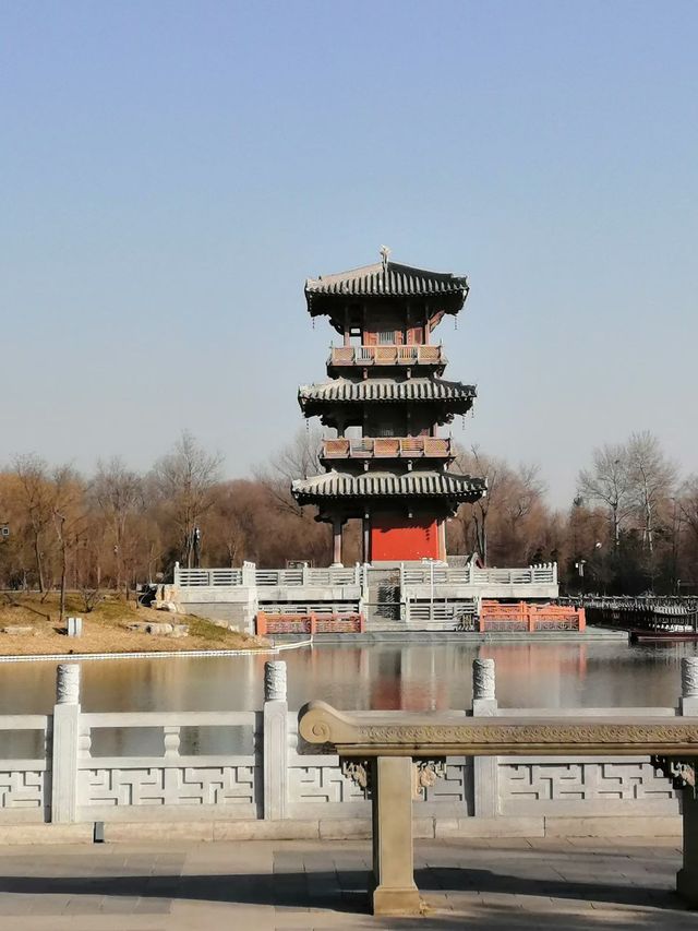 冬日晉祠貓伴遊 冬日晉祠貓伴遊