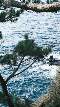 濟州島4天3晚無腦跟團玩