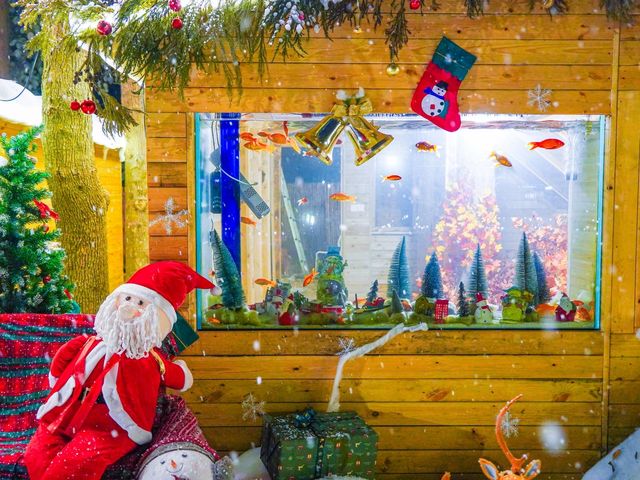 成都今年最可愛的聖誕地出現了!!!!!!!!!!! 成都今年最可愛的聖誕地出現了!!!!!!!!!!!