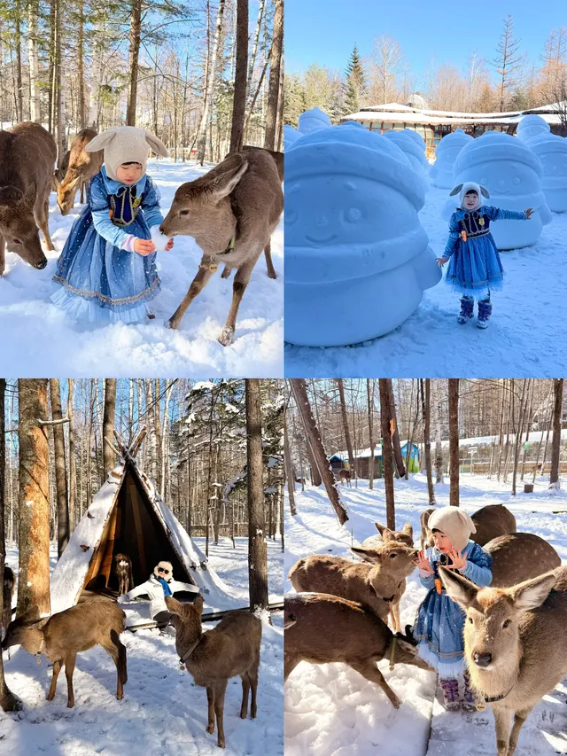 我宣佈長白山才是冬天親子遊的天花板