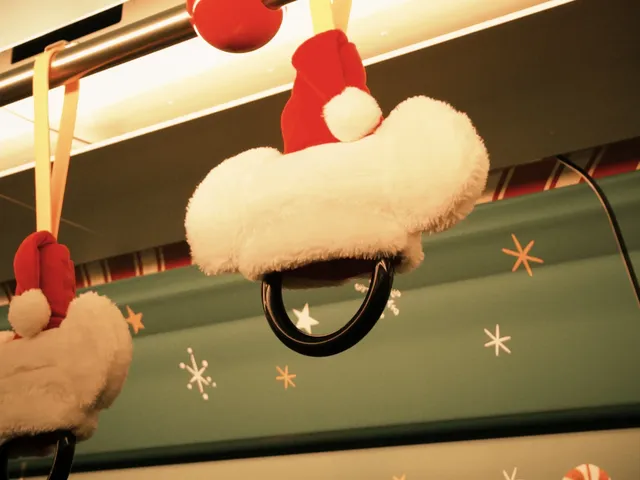 東迪海洋｜難忘！好玩！一日記錄