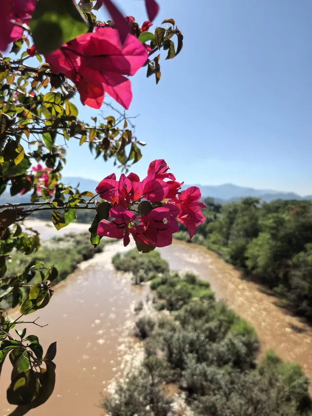 自駕第二十站｜西雙版納