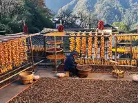 婺源篁嶺🪐曬秋旺季避開人群指南