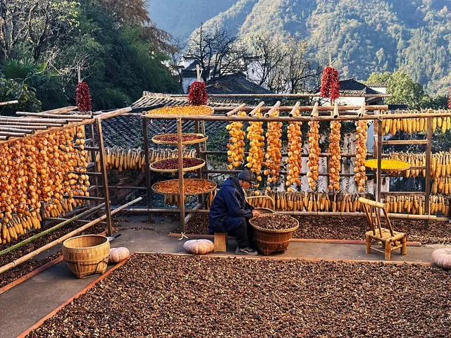 婺源篁嶺🪐曬秋旺季避開人群指南 婺源篁嶺🪐曬秋旺季避開人群指南
