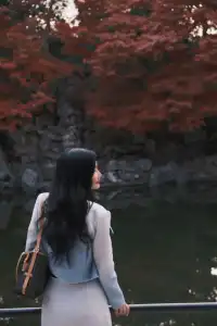 何園的雞爪槭，已經進入「高光時刻」