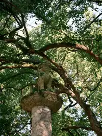 無錫週末去哪兒--紹興篇