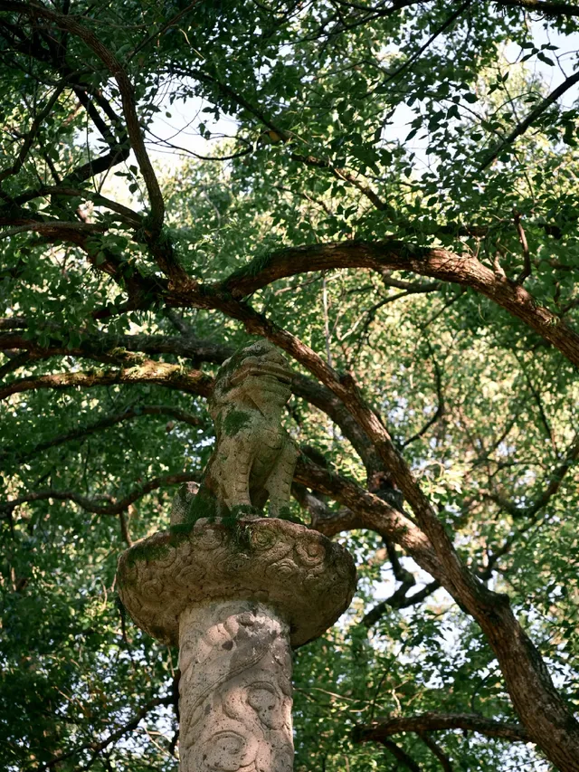 無錫週末去哪兒--紹興篇 無錫週末去哪兒--紹興篇