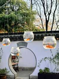 超全南京愚園冬日攻略！小眾玩法+拍照機位大公開