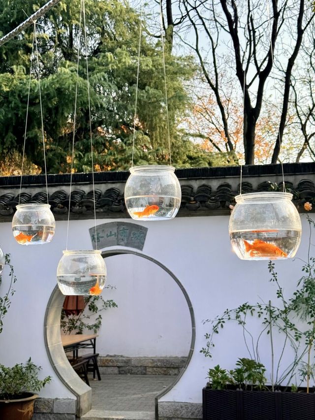 超全南京愚園冬日攻略！小眾玩法+拍照機位大公開