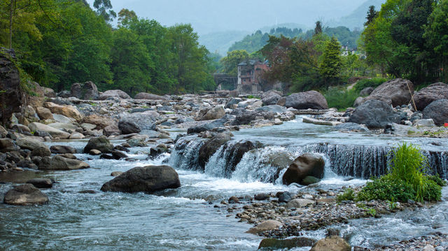 峨眉山上的寶藏歇腳地,誰住誰讚! 峨眉山上的寶藏歇腳地,誰住誰讚!
