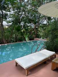 藏在了雨林秘境裡