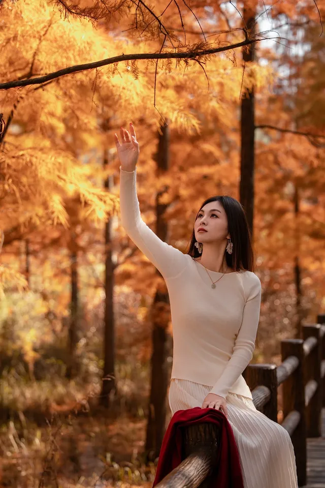 長興桃花岬的紅杉很美啊～～