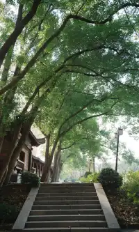 武漢東湖邊藏了個金色+鏽紅色的油畫秋天