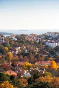 青島信號山絕美視野登頂10分鐘打卡上帝視角!