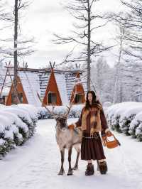 沒踩雷🫡第一次去阿爾山 直接照抄這份攻略