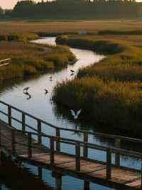 星空帳篷裡學做小漁民!東灘濕地邊的自然營地
